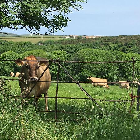 Appartamento Trengothal Barn Porthcurno Esterno foto