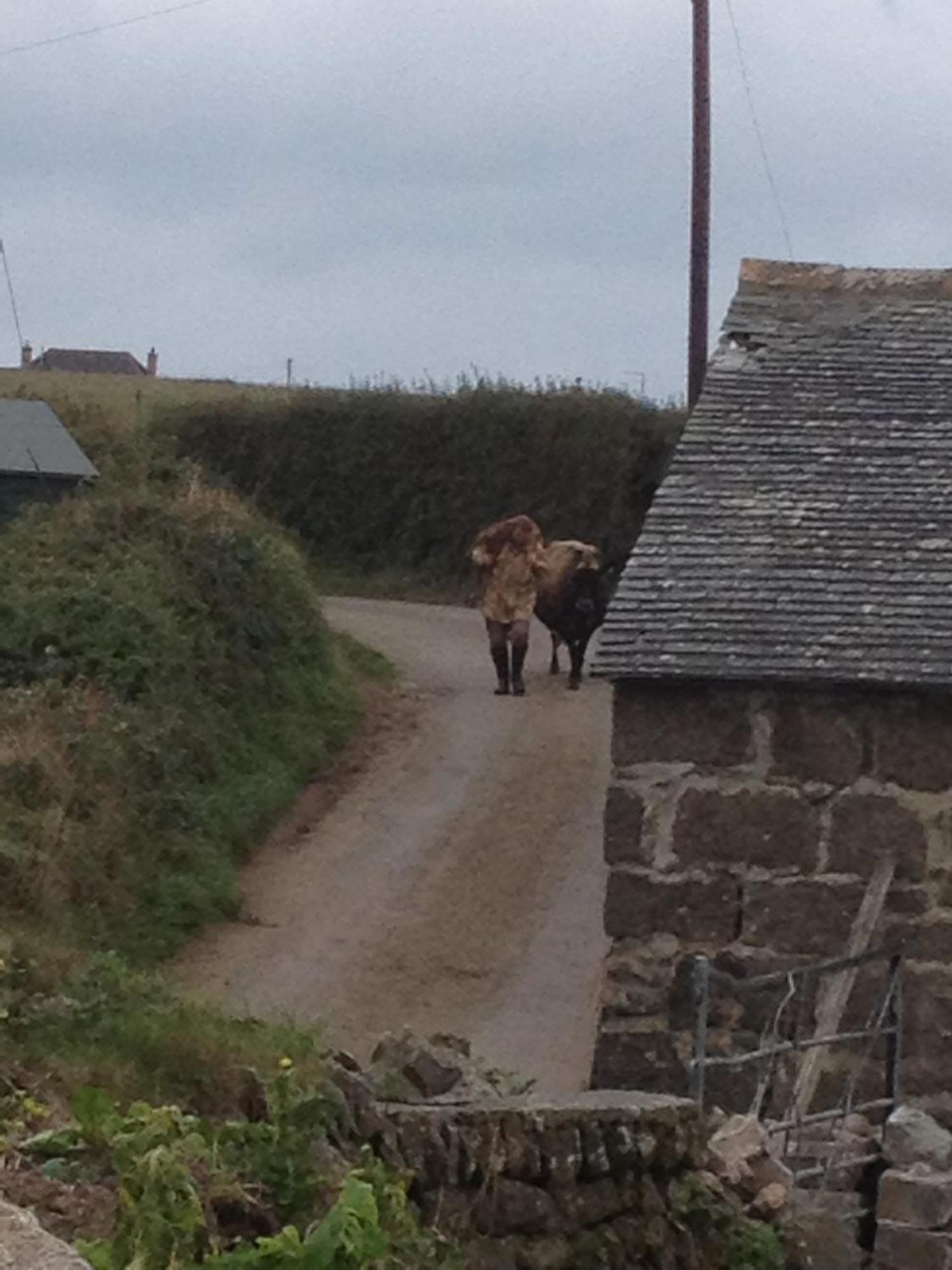 Appartamento Trengothal Barn Porthcurno Esterno foto
