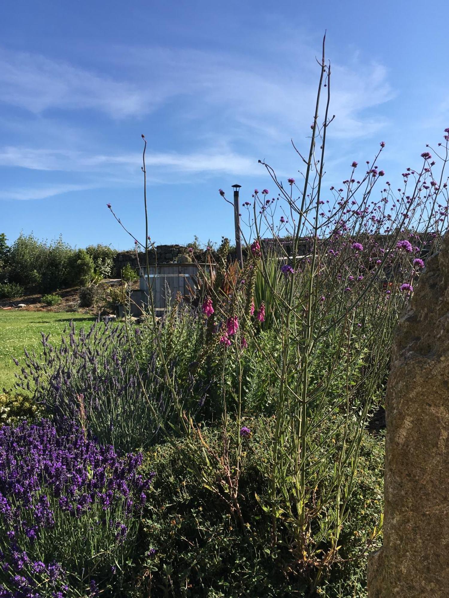 Appartamento Trengothal Barn Porthcurno Esterno foto