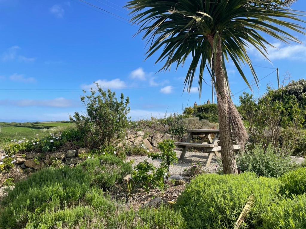 Appartamento Trengothal Barn Porthcurno Esterno foto